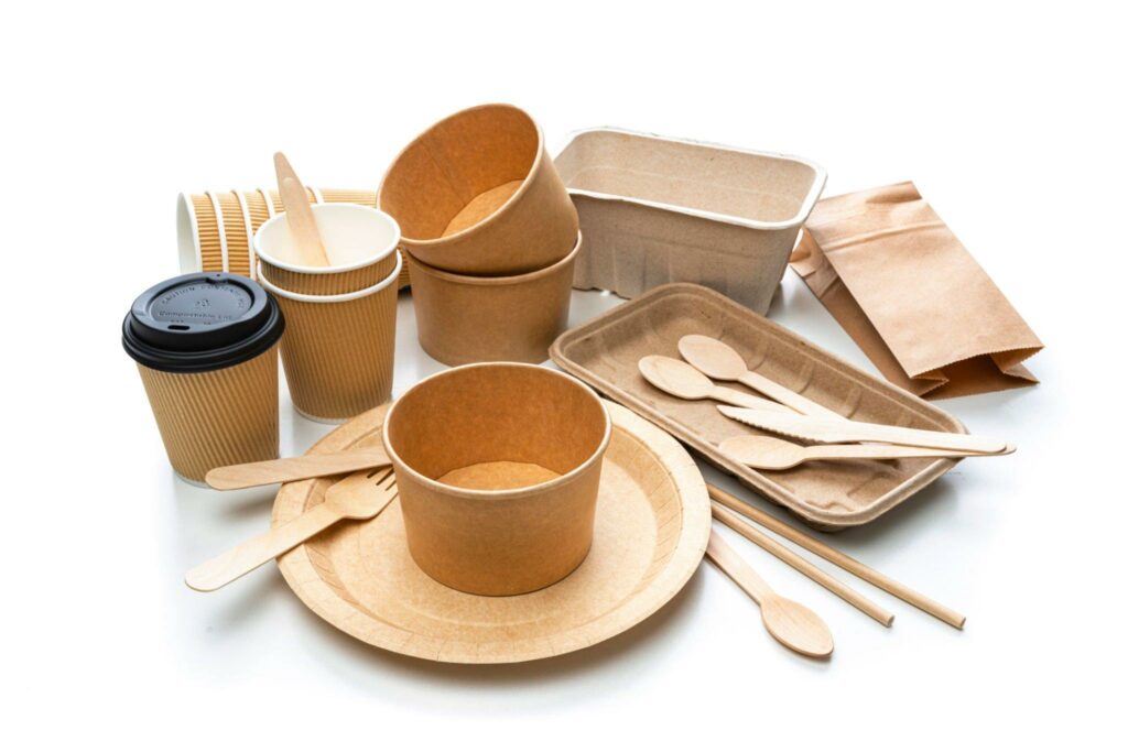 Image of Biodegradable Disposable